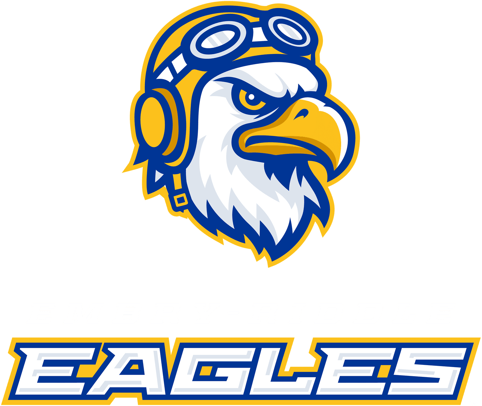 Embry-Riddle Aeronautical University